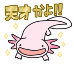Axolotl sticker #1139703