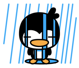 little (shy and timid) penguin sticker #1141089