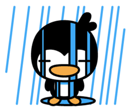 little (shy and timid) penguin sticker #1141089