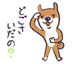 Dog John-ta speak in Sendai dialect. sticker #1141879