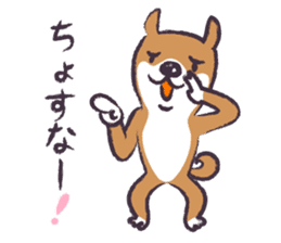 Dog John-ta speak in Sendai dialect. sticker #1141897