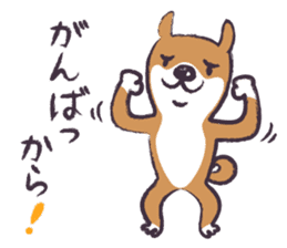 Dog John-ta speak in Sendai dialect. sticker #1141900