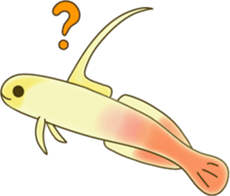 Sea Animal sticker #1142232