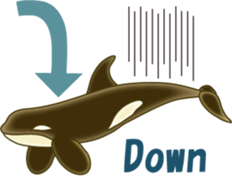 Sea Animal sticker #1142253