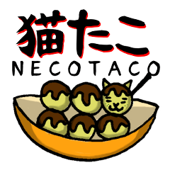 Octopus Dumpling Cat's usual day