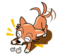 Cute Chihuahua sticker #1143791