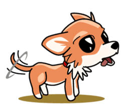 Cute Chihuahua sticker #1143807