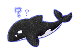 orca_sticker sticker #1144661