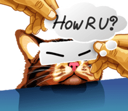 Meme The Cat sticker #1144908