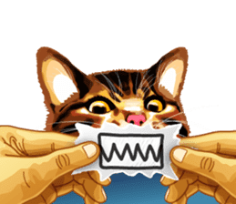 Meme The Cat sticker #1144909