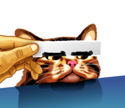 Meme The Cat sticker #1144913