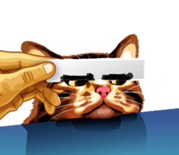 Meme The Cat sticker #1144913