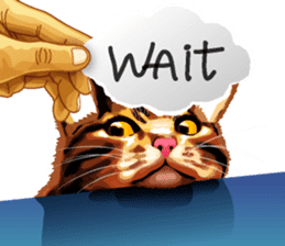 Meme The Cat sticker #1144921