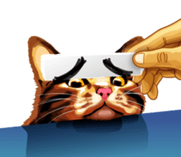 Meme The Cat sticker #1144922