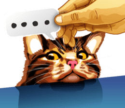 Meme The Cat sticker #1144924