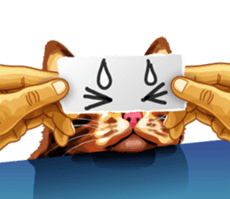 Meme The Cat sticker #1144925