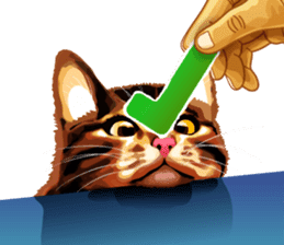 Meme The Cat sticker #1144927