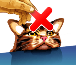 Meme The Cat sticker #1144928