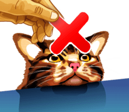 Meme The Cat sticker #1144928