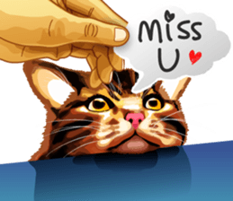 Meme The Cat sticker #1144930