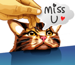 Meme The Cat sticker #1144930