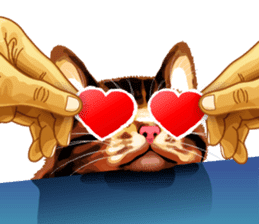 Meme The Cat sticker #1144931