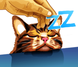 Meme The Cat sticker #1144935