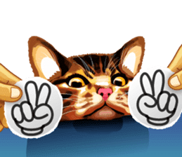 Meme The Cat sticker #1144936