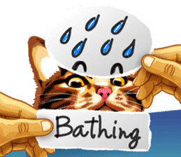 Meme The Cat sticker #1144943