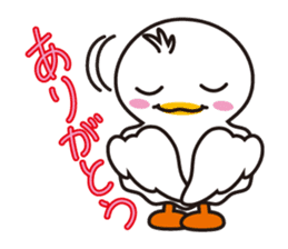 Every day of a duck sticker #1146066