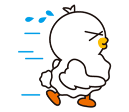 Every day of a duck sticker #1146102