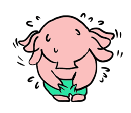 A pig with a emotional nose sticker #1146347