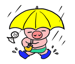 A pig with a emotional nose sticker #1146370