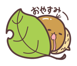 acorn Sticker sticker #1146635