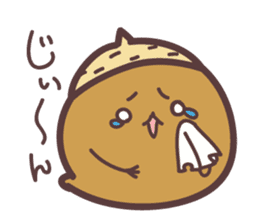 acorn Sticker sticker #1146641