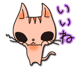 Positive cat sticker #1147856