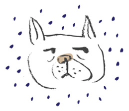Funny faces of French bulldog SAKI sticker #1148241