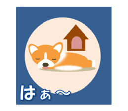 The window of Corgi sticker #1151645