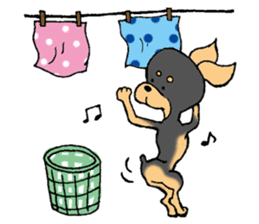 Scarf Minipin festival! sticker #1152917