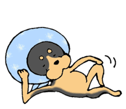 Scarf Minipin festival! sticker #1152924