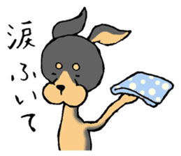 Scarf Minipin festival! sticker #1152929