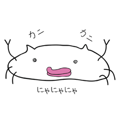 Crab Cat KANINEKO & the Frog MIYABOYA