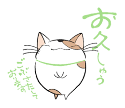 Fluffy cat sticker #1153312