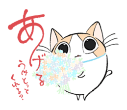 Fluffy cat sticker #1153317