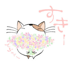 Fluffy cat sticker #1153321
