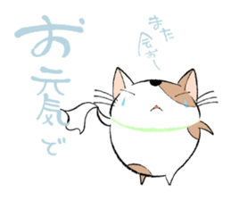 Fluffy cat sticker #1153324