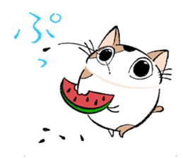 Fluffy cat sticker #1153341