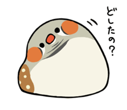 Kotorinopantsu sticker #1153667