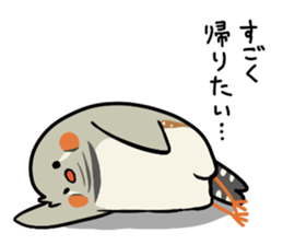 Kotorinopantsu sticker #1153688