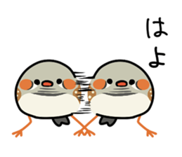 Kotorinopantsu sticker #1153692